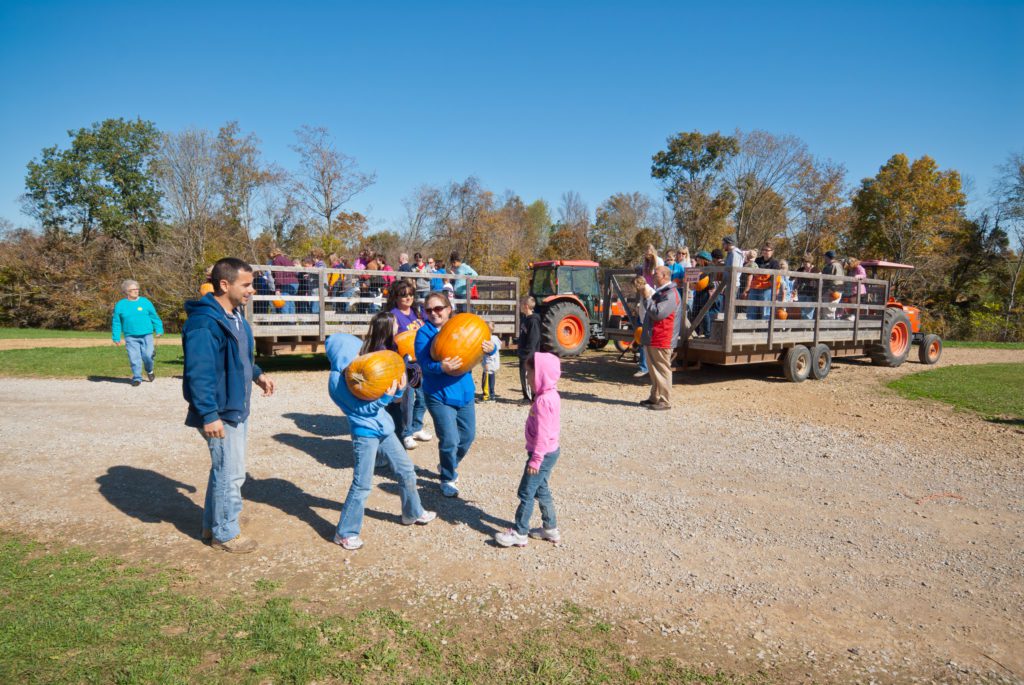 Family holding pumpkins in front of tractor and trailers