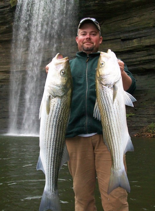 Man in green jacket and brown khakis holding two trophy size stripers