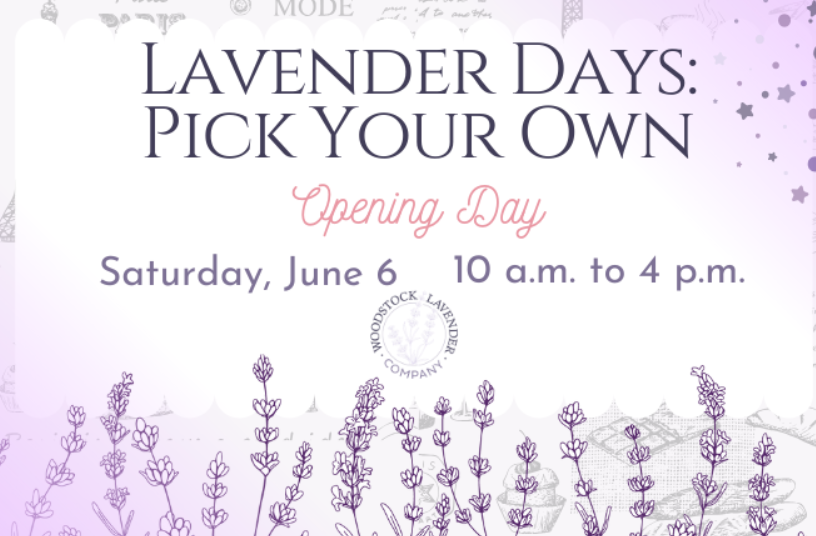 Flyer that states Lavender Days: Pick Your Own Saturday June 6 10am to 4pm